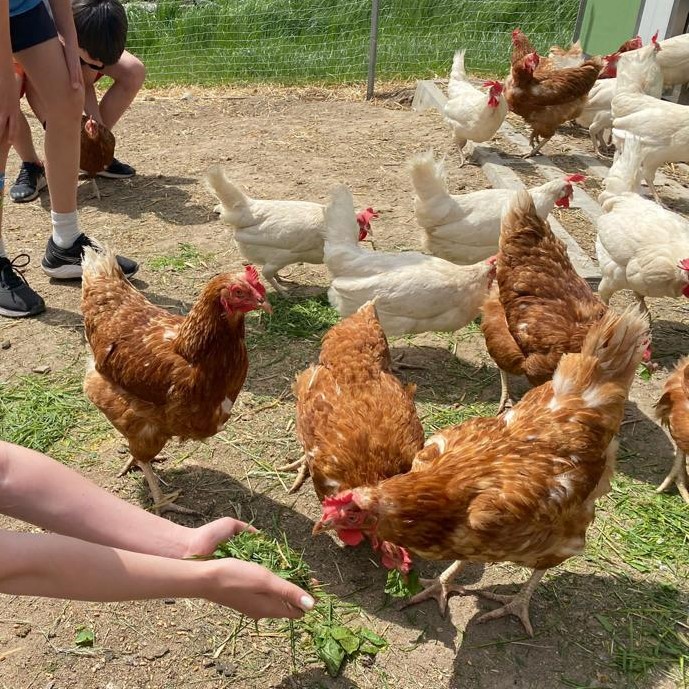 W tierische Begegnungen